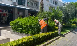 Antalya Büyükşehir'den Kemer'e çevre düzenleme