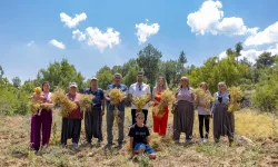 Mersin'de yerel tohumlar geleceğe taşınıyor