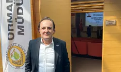 TAPSİAD: Ormanları korumak, üretim gücünü korumaktır