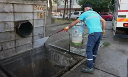 Temiz Maltepe için ekipler Altayçeşme'de sahada