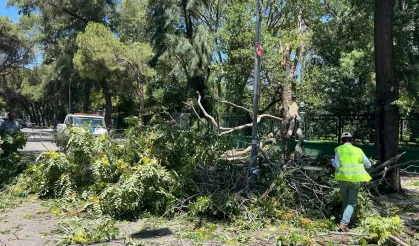İzmir'de yangın ve fırtınayla mücadele!