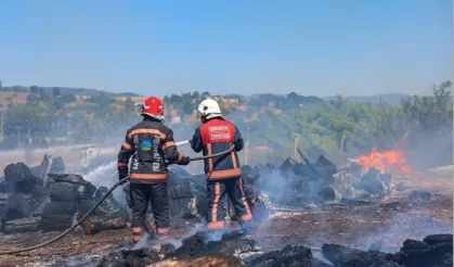 Sakarya Söğütlü’deki orman yangını kontrol altına alındı