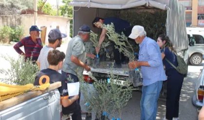 Antalya'nın 19 ilçesine 40 bin zeytin fidanı desteği