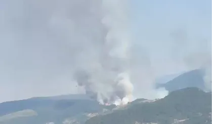 Balıkesir Sındırgı'da orman dışı alanda yangın!