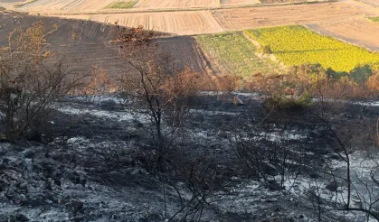 Bursa Karacabey’de orman yangını: 500 dönüm zarar gördü