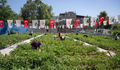 Gıda güvenliği mesajı Bornova'dan verildi