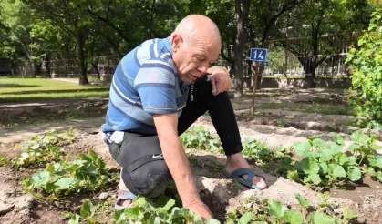 Kayseri'nin Ulu Çınarları'ndan bitki şov