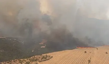 Manisa, Tekirdağ ve Çanakkale’de orman yangınlarına yoğun müdahale
