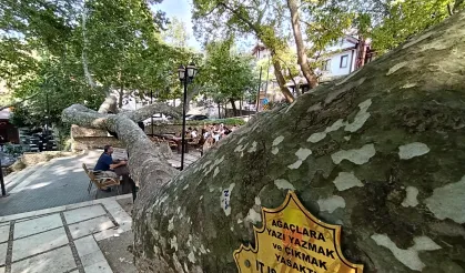 Osmanlı'dan günümüze... Bursa İnkaya'da görkemli gölge