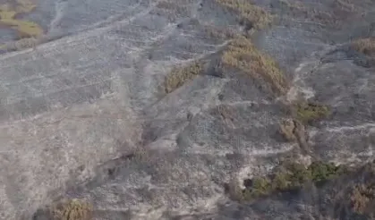 Tekirdağ Şarköy’deki yangın kontrol altında