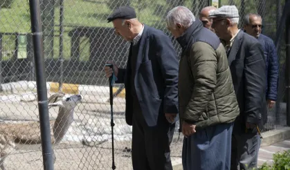 Mersin Büyükşehir, emeklileri doğayla buluşturuyor