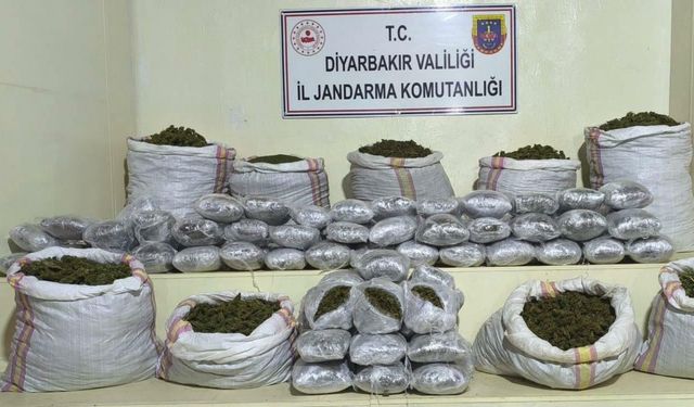 Diyarbakır’da narkoterör operasyonu: 2 milyon 669 bin kök kenevir ve skunk bitkisi ele geçirildi