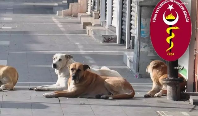 Türk Veteriner Hekimleri Birliği: Yasa teklifinden ötanazi ifadesi çıkarılsa da tamamen kapsam dışı bırakmıyor