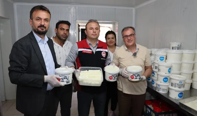 Kayseri Hacılar mozzarella peyniri üretecek