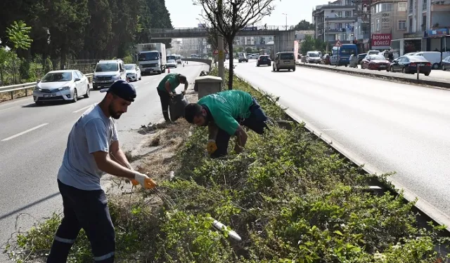 Yalova'da orta refüjlere kapsamlı temizlik