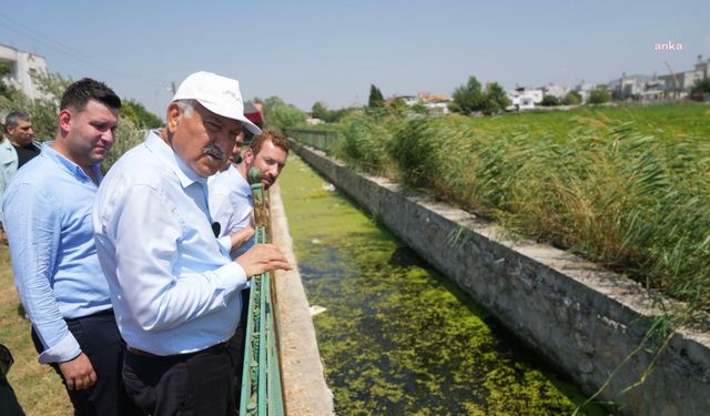 Adana Büyükşehir Belediye Başkanı Karalar'dan vatandaşlara sivrisinekle mücadele çağrısı