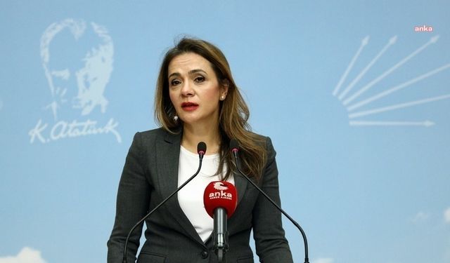 CHP'li İlgezdi, eğitimde tasarruf tedbirlerini eleştirdi: "Gözünüzü yoksul çocukların bir öğün yemek ve servis ücretine mi diktiniz?"