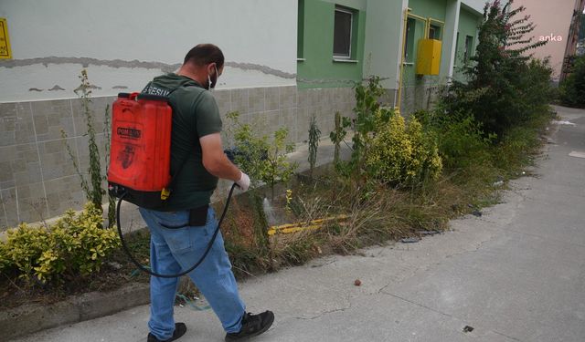 Giresun Belediyesi, ilaçlama çalışmalarını artırdı