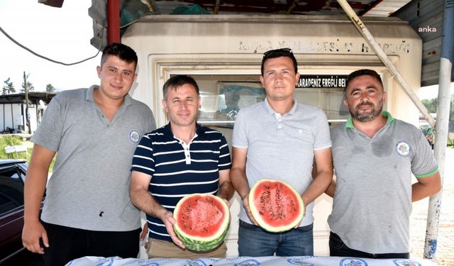 Karadeniz Ereğli Belediyesi'nin 'Yerel Tohum Projesi'nde hasat devam ediyor