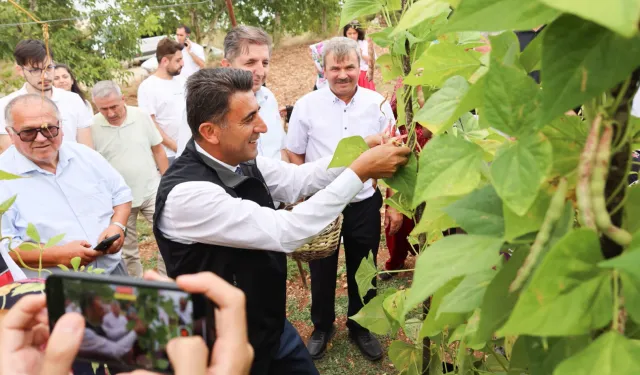 Türkiye'nin en güzel barbunyası: Kınık Barbunyası