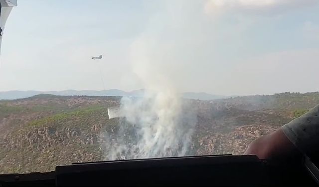 İzmir Menderes'te orman yangını çıktı