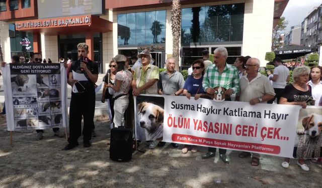 Yaşam hakkı savunucuları, sokak köpeklerini toplayan Fatih Belediyesi'ni protesto etti