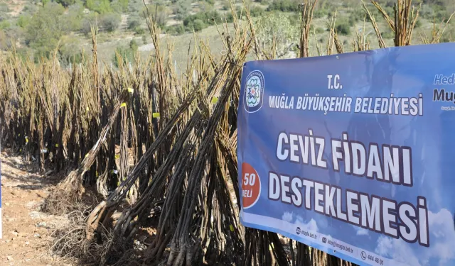 Muğla'da her kapıda bir fidan!