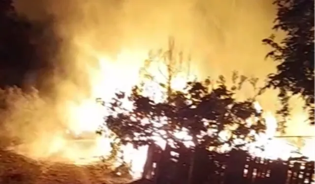 Bursa Mudanya'da bağ evinde yangın!