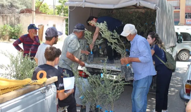 Antalya'nın 19 ilçesine 40 bin zeytin fidanı desteği