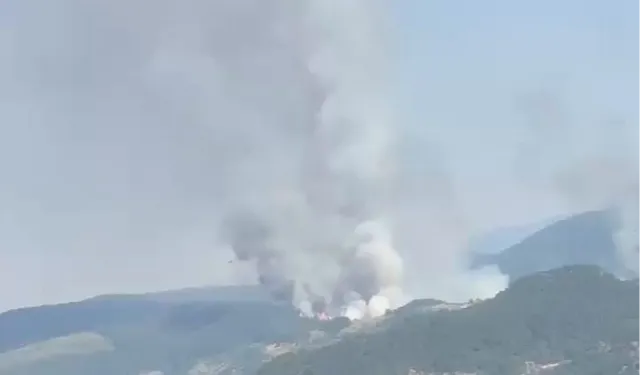 Balıkesir Sındırgı'da orman dışı alanda yangın!