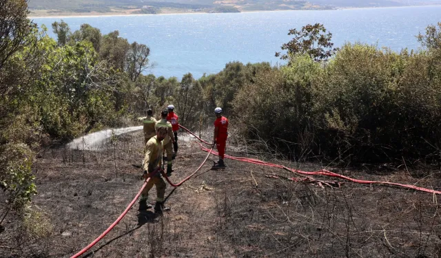 Bursa'da Mudanya Kaymakamlığı yangın riskine karşı uyardı