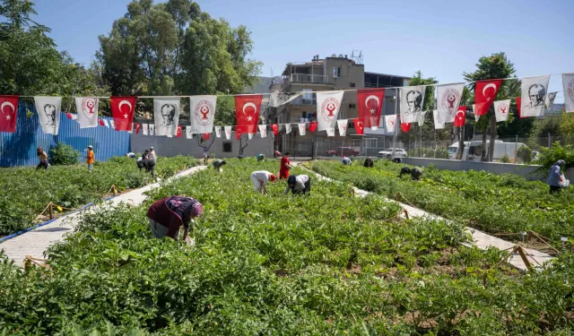 Gıda güvenliği mesajı Bornova'dan verildi