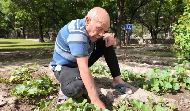 Kayseri'nin Ulu Çınarları'ndan bitki şov