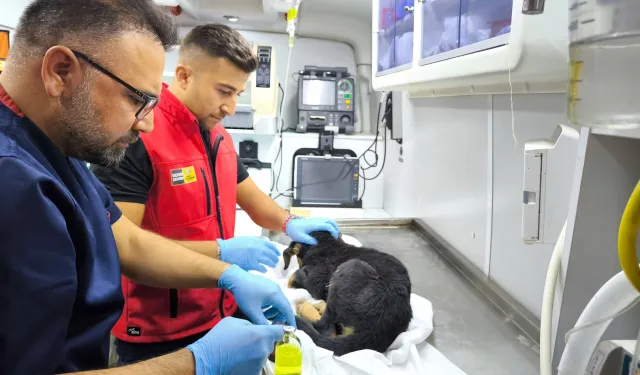 Konya İtfaiyesi’nden yürekleri ısıtan kurtarma operasyonu