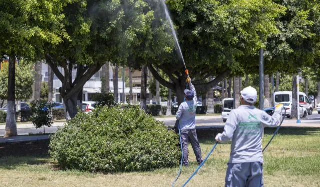 Mersin'de ilaçlama çalışmaları sürüyor