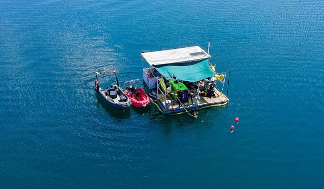 Sakarya Sapanca Gölü’nün su kalitesi koruma altında