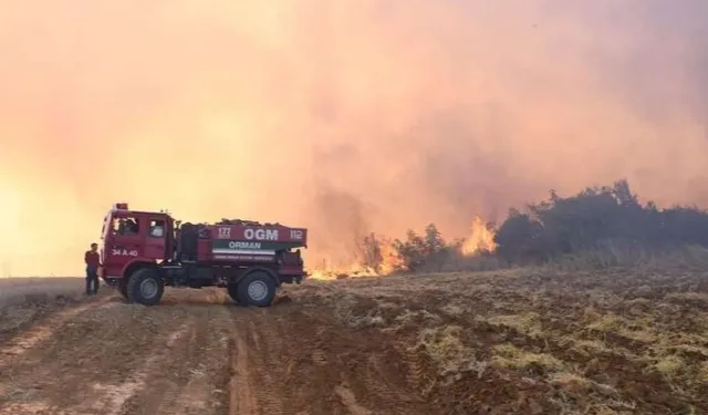 Son 1 haftada 624 orman yangını