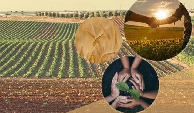 Tarımsal örgütlere yönetmelik ayarı