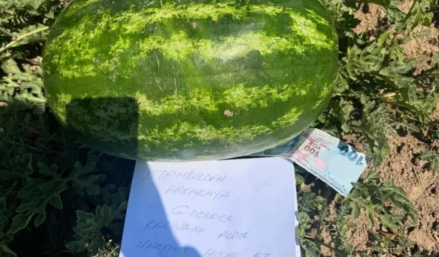 Tarlaya 100 TL ve özür notu bıraktı!