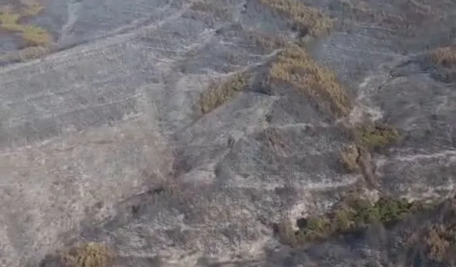 Tekirdağ Şarköy’deki yangın kontrol altında