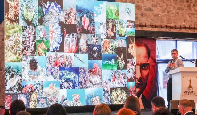 İzmir Körfezi'ne bilimsel bakış