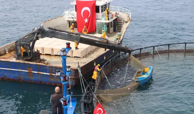 Avcılıkta artış, iç sularda düşüş!