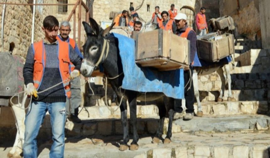 Mardin'in simgesi 'Çöp Eşeklerin' görevleri sona eriyor