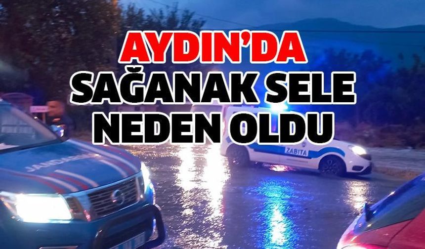 Bozdoğan'da sağanak sele neden oldu