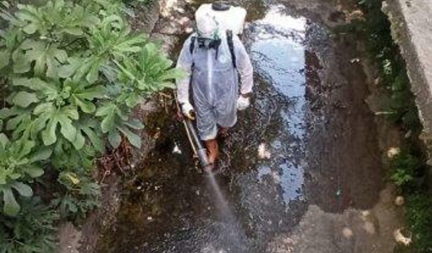 Karadeniz Ereğli Belediyesi, ilaçlama çalışmalarını sürdürüyor