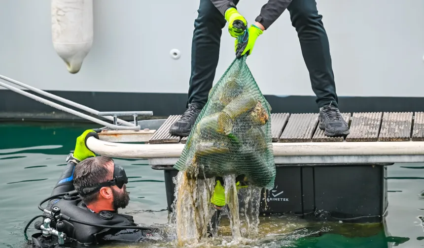 5 ton çöp toplandı, güneş enerjisi kullanımı arttı