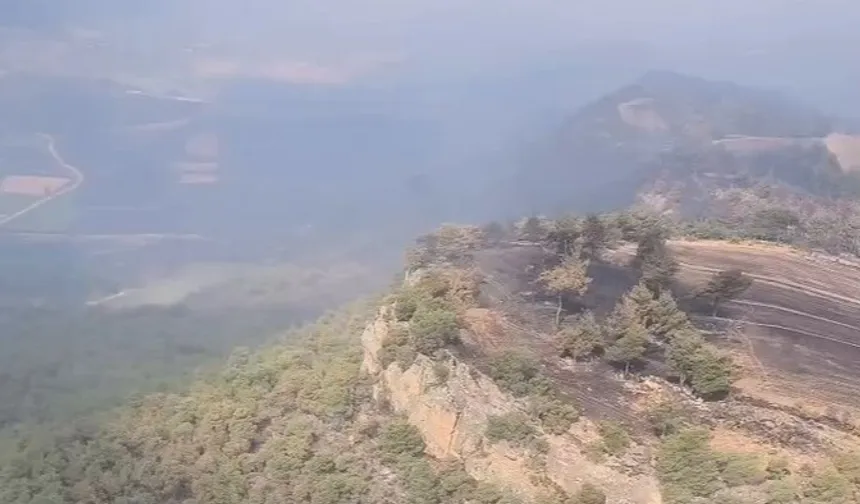 Bilecik'te yangınlar kontrol altında