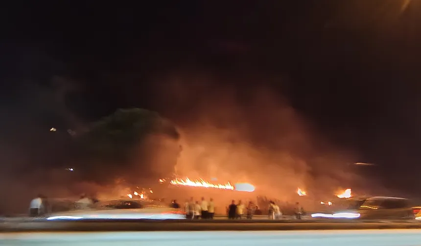 Bursa Mudanya Yolu'nda alevler yükseldi! Çağrışan'da yangın paniği!