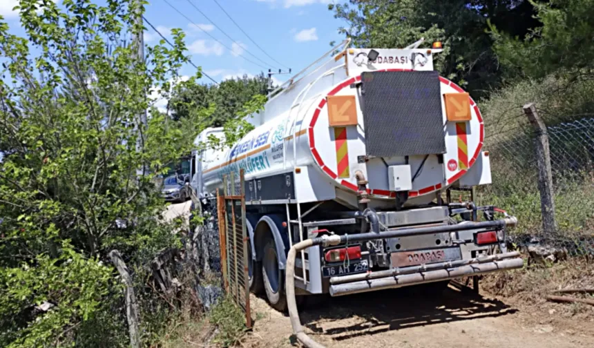 Bursa Nilüfer'de Dağyenice’deki yangın söndürüldü