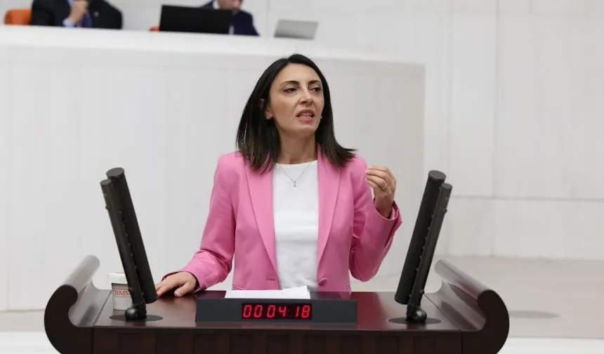 CHP’li Altaca Kayışoğlu’ndan TBMM'de sert eleştiri